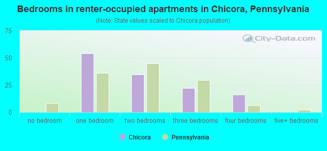 Bedrooms in renter-occupied apartments in Chicora, Pennsylvania