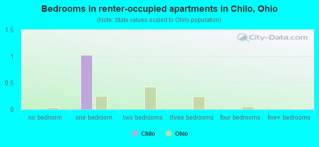 Bedrooms in renter-occupied apartments in Chilo, Ohio