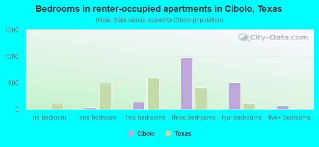 Bedrooms in renter-occupied apartments in Cibolo, Texas