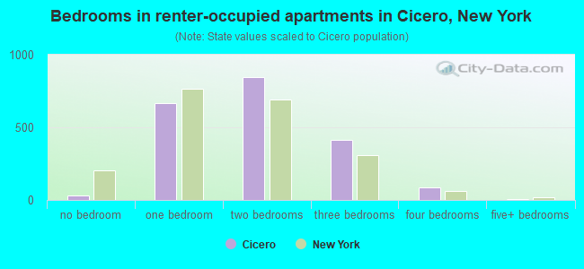 Bedrooms in renter-occupied apartments in Cicero, New York