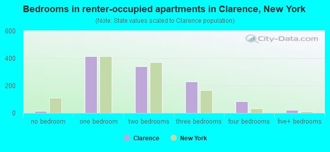 Bedrooms in renter-occupied apartments in Clarence, New York