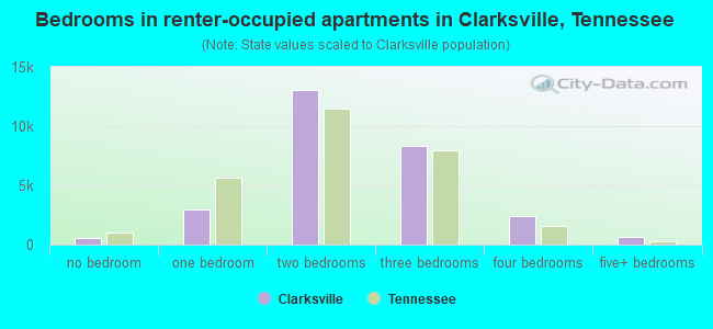 Bedrooms in renter-occupied apartments in Clarksville, Tennessee