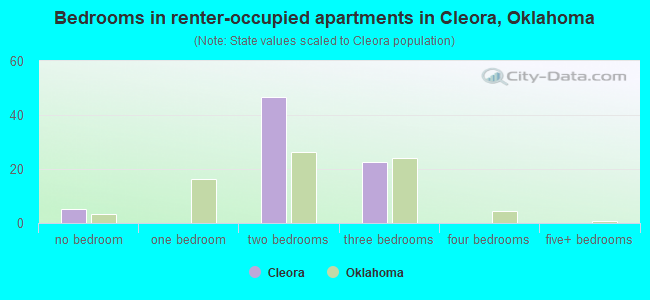 Bedrooms in renter-occupied apartments in Cleora, Oklahoma