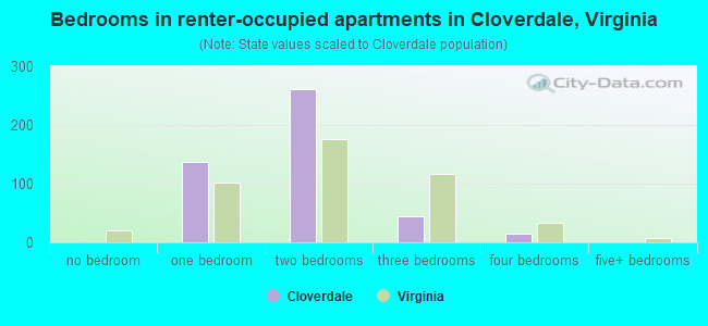 Bedrooms in renter-occupied apartments in Cloverdale, Virginia