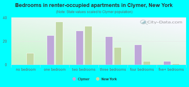 Bedrooms in renter-occupied apartments in Clymer, New York