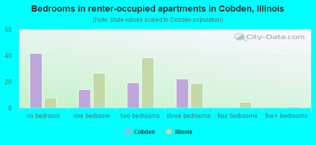 Bedrooms in renter-occupied apartments in Cobden, Illinois