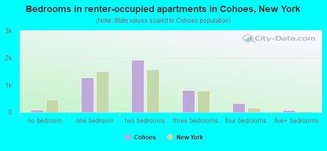 Bedrooms in renter-occupied apartments in Cohoes, New York
