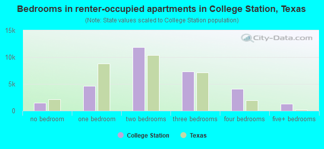 Bedrooms in renter-occupied apartments in College Station, Texas