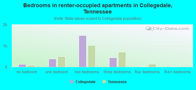 Bedrooms in renter-occupied apartments in Collegedale, Tennessee