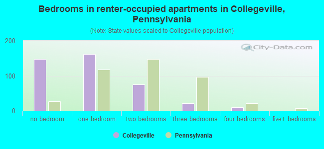 Bedrooms in renter-occupied apartments in Collegeville, Pennsylvania