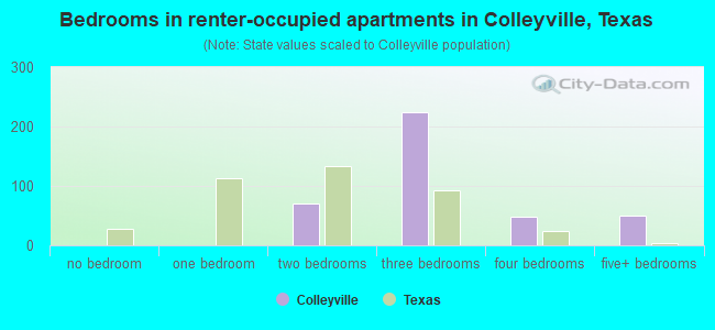 Bedrooms in renter-occupied apartments in Colleyville, Texas