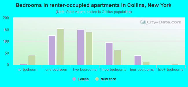Bedrooms in renter-occupied apartments in Collins, New York
