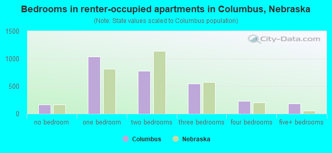 Bedrooms in renter-occupied apartments in Columbus, Nebraska