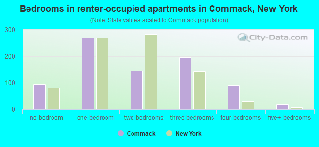 Bedrooms in renter-occupied apartments in Commack, New York