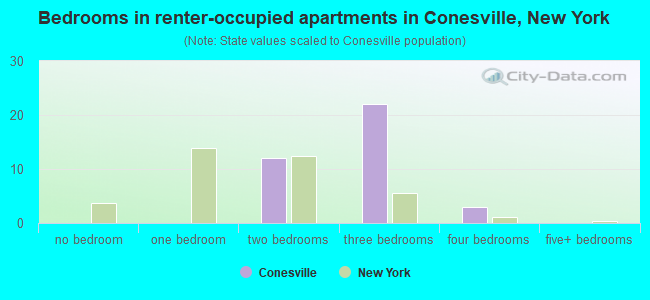 Bedrooms in renter-occupied apartments in Conesville, New York