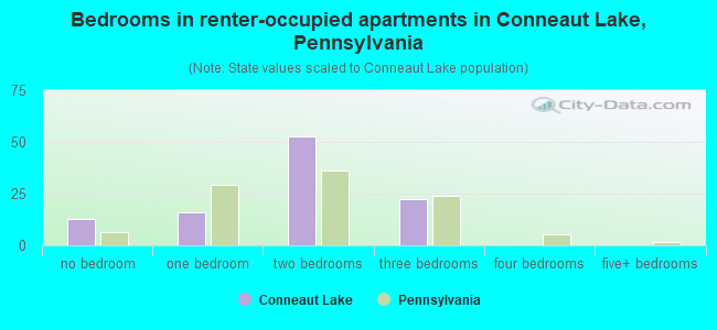 Bedrooms in renter-occupied apartments in Conneaut Lake, Pennsylvania