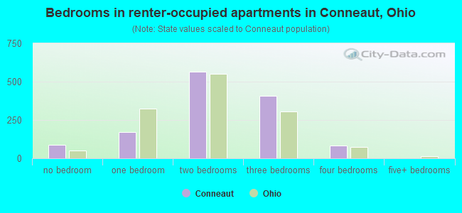 Bedrooms in renter-occupied apartments in Conneaut, Ohio
