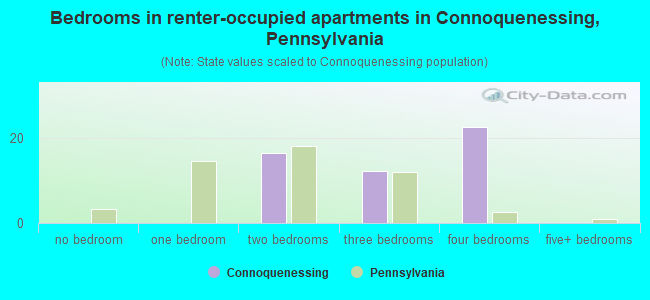 Bedrooms in renter-occupied apartments in Connoquenessing, Pennsylvania