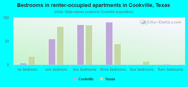 Bedrooms in renter-occupied apartments in Cookville, Texas