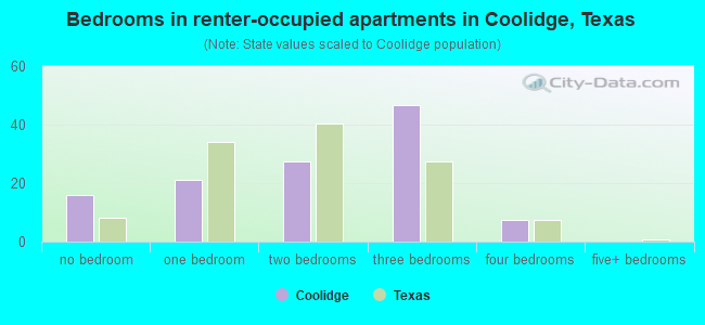 Bedrooms in renter-occupied apartments in Coolidge, Texas