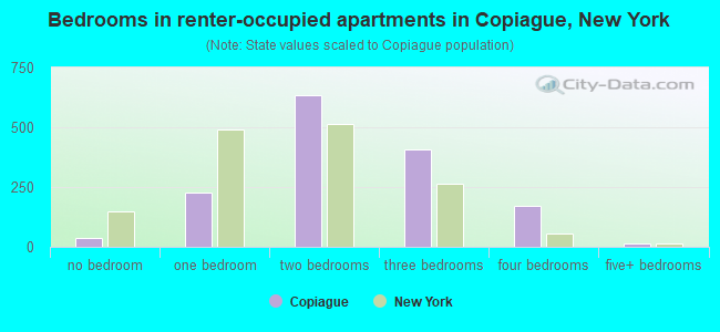 Bedrooms in renter-occupied apartments in Copiague, New York