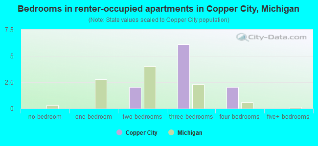 Bedrooms in renter-occupied apartments in Copper City, Michigan