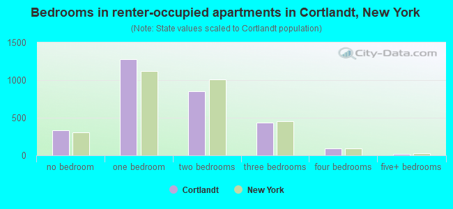 Bedrooms in renter-occupied apartments in Cortlandt, New York