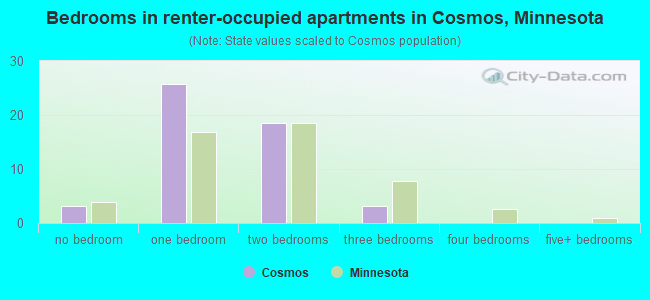 Bedrooms in renter-occupied apartments in Cosmos, Minnesota