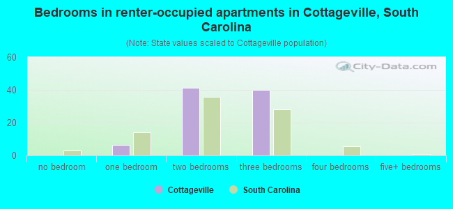 Bedrooms in renter-occupied apartments in Cottageville, South Carolina