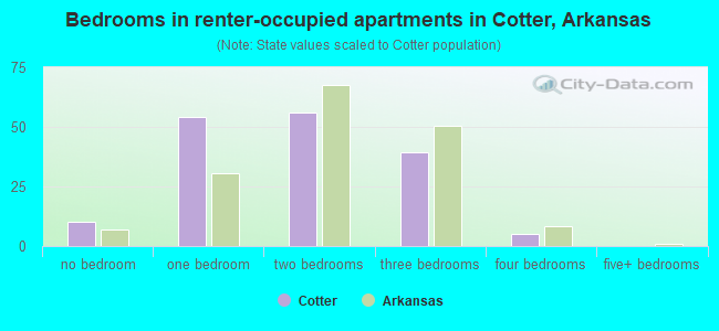 Bedrooms in renter-occupied apartments in Cotter, Arkansas