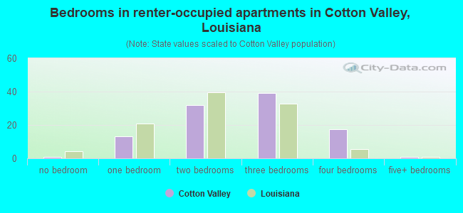 Bedrooms in renter-occupied apartments in Cotton Valley, Louisiana