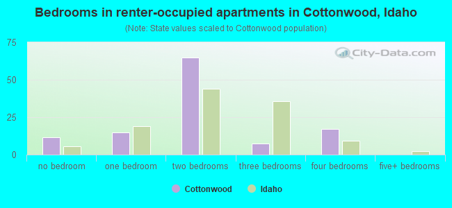 Bedrooms in renter-occupied apartments in Cottonwood, Idaho