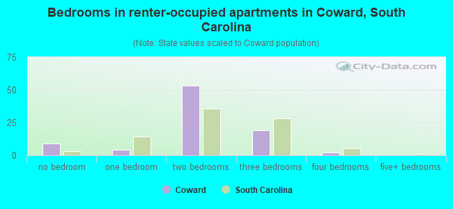 Bedrooms in renter-occupied apartments in Coward, South Carolina