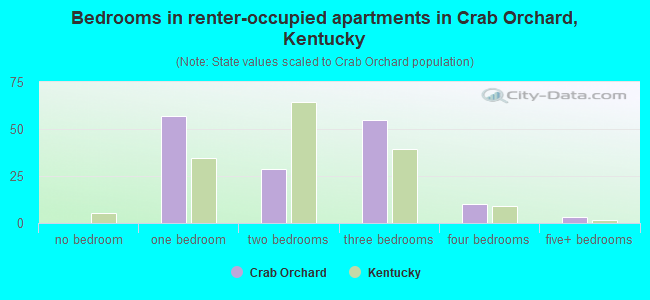 Bedrooms in renter-occupied apartments in Crab Orchard, Kentucky