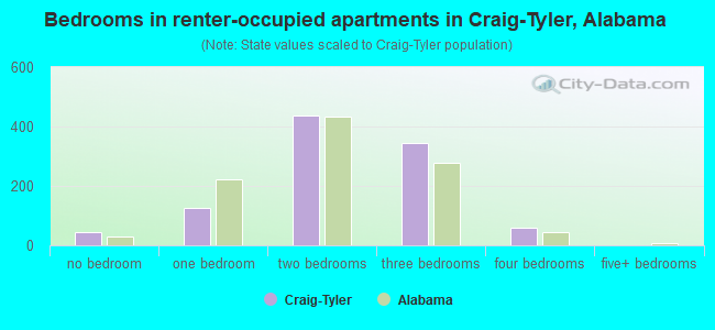 Bedrooms in renter-occupied apartments in Craig-Tyler, Alabama