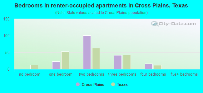 Bedrooms in renter-occupied apartments in Cross Plains, Texas