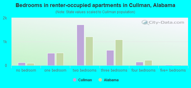 Bedrooms in renter-occupied apartments in Cullman, Alabama