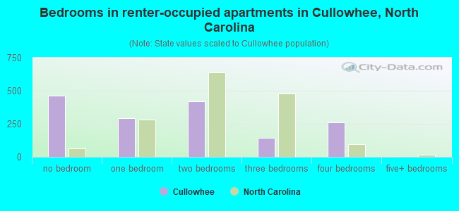 Bedrooms in renter-occupied apartments in Cullowhee, North Carolina