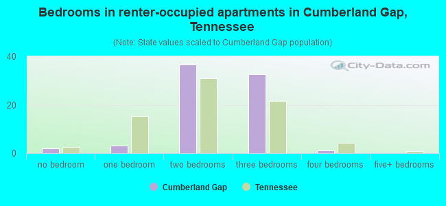 Bedrooms in renter-occupied apartments in Cumberland Gap, Tennessee