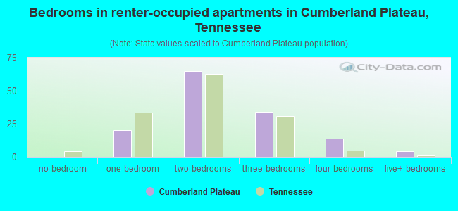 Bedrooms in renter-occupied apartments in Cumberland Plateau, Tennessee