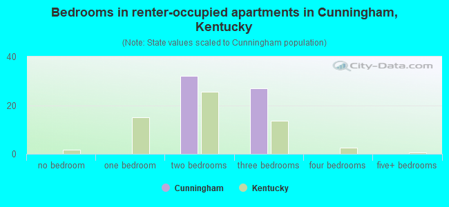 Bedrooms in renter-occupied apartments in Cunningham, Kentucky