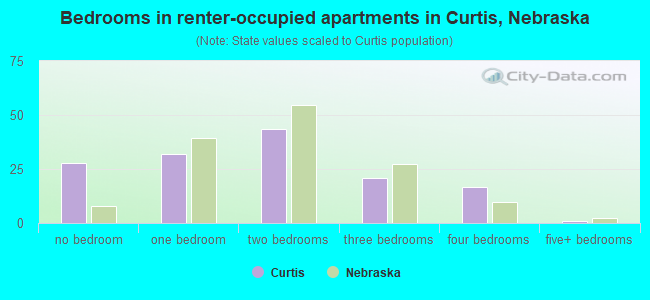 Bedrooms in renter-occupied apartments in Curtis, Nebraska