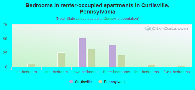 Bedrooms in renter-occupied apartments in Curtisville, Pennsylvania