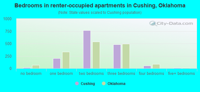 Bedrooms in renter-occupied apartments in Cushing, Oklahoma