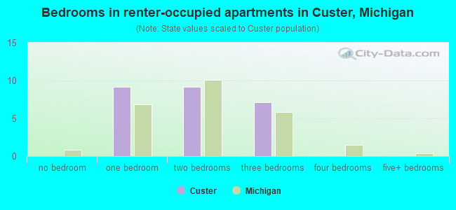 Bedrooms in renter-occupied apartments in Custer, Michigan