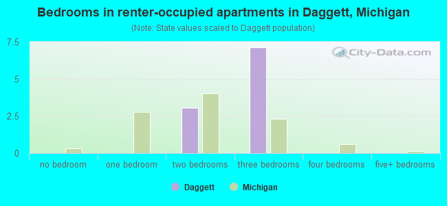 Bedrooms in renter-occupied apartments in Daggett, Michigan
