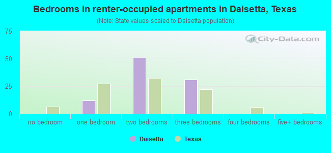 Bedrooms in renter-occupied apartments in Daisetta, Texas