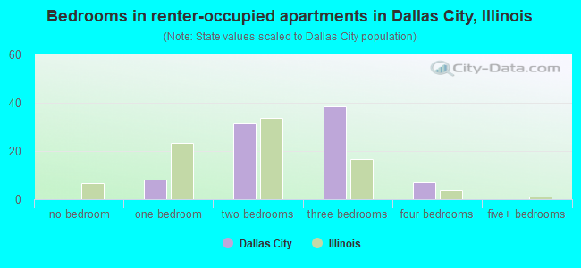 Bedrooms in renter-occupied apartments in Dallas City, Illinois