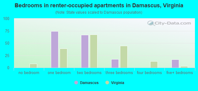 Bedrooms in renter-occupied apartments in Damascus, Virginia