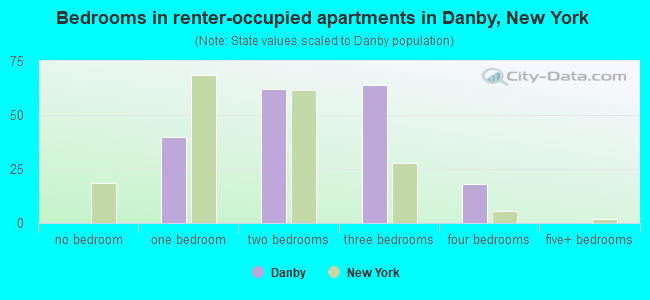 Bedrooms in renter-occupied apartments in Danby, New York